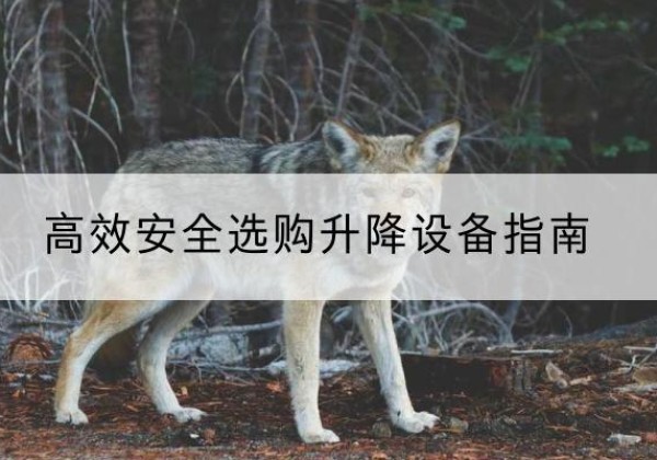 沾化升降货梯厂家推荐-*安全选购升降设备指南