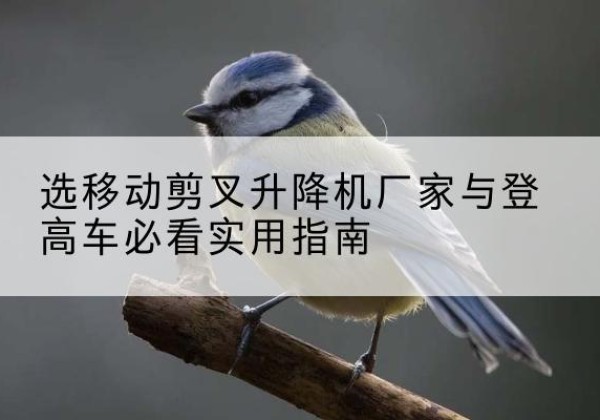 沾化电动升降机厂家-选移动剪叉升降机厂家与登高车必看实用指南